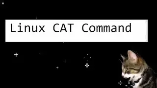 Linux Cat Command by Cosmo Cat