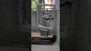 寺內能感受到濃厚的宗教氣息 #菩薩 #雕像