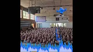 Laerskool Bakenkop se kleurspan wat wen vir 2025 is...