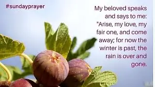 FIRSTFRUITS 