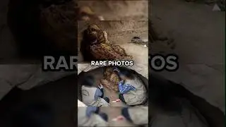 Редкие фотографии, демонстрирующие необычность!