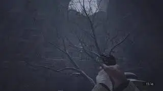 Resident Evil Village glitch