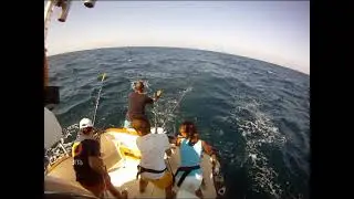 PESCA AL CURRI VERANO 2011 LLAMPUGAS Y ALISTADOS