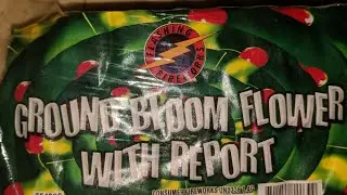 Ground Bloom Flower with Report, by Flashing