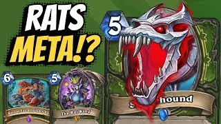 RAT HUNTER is really the BEST NEW meta deck??
