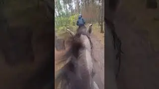 Topcia😍😍😍😍/odziwo była mego szybciutka