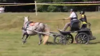 JONINĖS VEPRIUOSE 2016 (AKIMIRKOS)