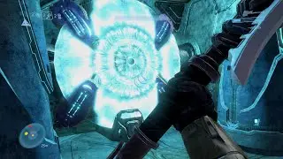 Scarab used Counter!