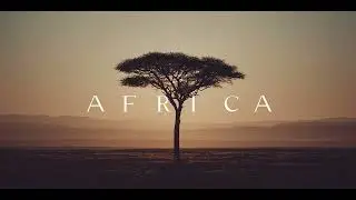 Continents &mdash; Africa Lofi | Warm Rhythms for Focus, Reflection & Calm Landscapes
