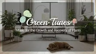 [For plants]🌿Calm piano melodies to nurture your plants and soothe your gardener&rsquo;s soul