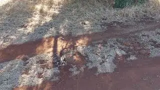 History lesson of Frankland River Retreat - Frankland River - Western Australia
