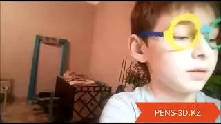 Отзыв от Евгении и Максима для pens-3d.it-z.kz