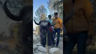 #anay #funnyvideo #kidsvideo #reels #fun #funnyshorts #funny #masti #kids #reels