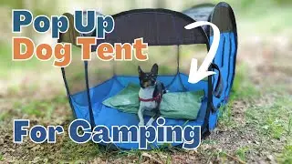 Our New Favorite Camping Gear For Small Dog | Pop Up Dog Tent For Camping | Camping With A Small Dog