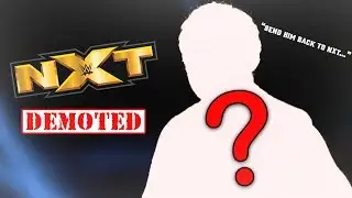 REAL REASON WHY THIS WWE SUPERSTAR WAS DEMOTED BACK TO NXT (WWE RAW)