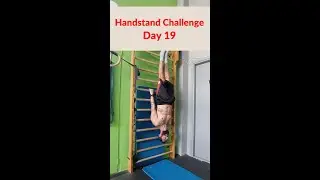 Calisthenics Exercise on Wall Bars | Must Do !