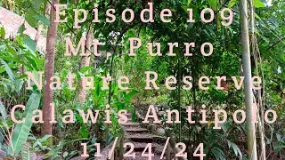 Mt. Purro Nature Reserve Calawis Antipolo 11/24/24