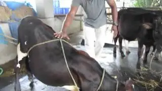 Alternate method of casting