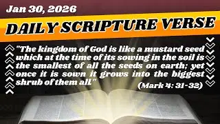 Daily Scripture Verse - The Mustard Seed - Trusting God&rsquo;s Growth In You | 2026.01.30