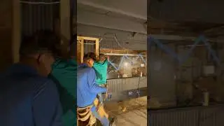 Instalando paneles ac&uacute;sticos para un estudio de grabaci&oacute;n