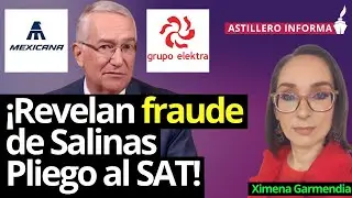 Salinas Pliego registró pérdidas de Mexicana como suyas para deducir impuestos: Ximena Garmendia