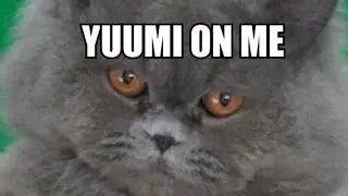 Kyrenis - Yuumi on me