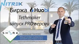 Nitrex. Запуск PRO версии Tethmaker (торговля на споте) на бирже Huobi с командой GlobalShark