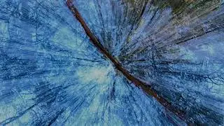 MAIND  -  Tripolarity  -