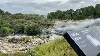 Pohutu Geyser - Te Puia - Rotorua, New Zealand