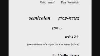 Oded Assaf, Dan Weinstein: Semicolon