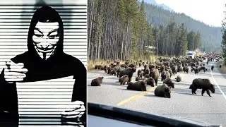 Anonymous Just Released A Chilling Video 