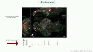 OHBM 2025 | Educational Course | Neural Field Theory and Brain Network Modelling  | Part 4