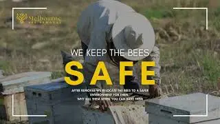 Bee Removal Melbourne