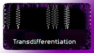 Negative Reality :: Transdifferentiation