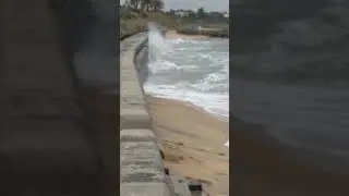 High Five, High Tide! 🌊