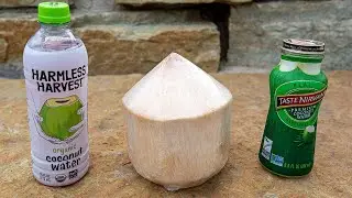 Лучшая кокосовая вода | Давайте рассмотрим наши варианты