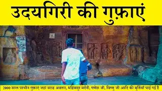 उदयगिरी की गुफ़ाएं विदिशा मध्य प्रदेश Udaygiri Caves Vidisha M.P.