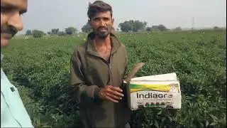 Grow Magic Advance (growth Promoter) | Available on IndiaMART