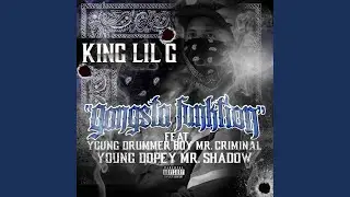 Gangsta Funktion (feat. Young Drummer Boy, Mr. Criminal, Mr. Shadow & Young Dopey)