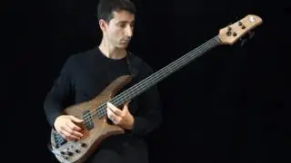 Bassist Damian Coccio plays 