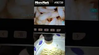 Instant noodles under LCD Digital Microscope 1000X Microscope 1080P #shorts #instantnoodles #bugs