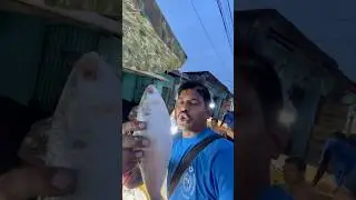 Hilsha fish Diamond harbour nagandra bajar #hilsafish #shorts