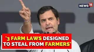 Farm Laws That The Bjp Came Up With Were Designed To Steal From Farmers: Rahul Gandhi| English News