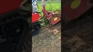 60HP Crawler Tractor with Loader and Peanut Harvester Machine #rotarytiller #minirotavator #machine