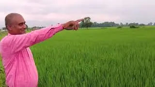 Jagdish Prasad Yadav | Fish Farmer | IRDN Project