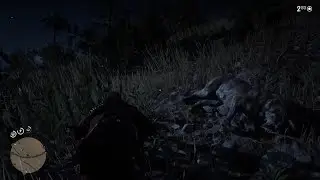 Survival of the Fittest: Battling Wolves in the Wild West - Red Dead Redemption 2 | THEY RAN AWAY