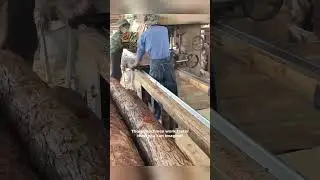 Giant Sawmill Machines at Work  Unbelievable Efficiency!