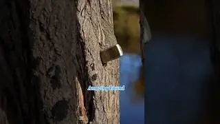 Found Nokia Mobile phone in River While Magnetic 🧭🧭#viralvideo #shortsfeeds #nokiaringtone