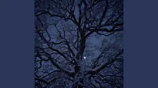 Carol of the Bells - Super Sped Up