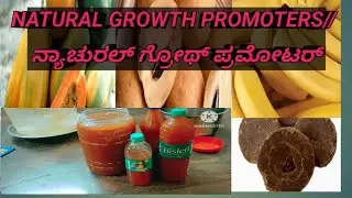NATURAL GROWTH PROMOTERS // ನ್ಯಾಚುರಲ್ ಗ್ರೋಥ್ ಪ್ರಮೋಟರ್- EP 02